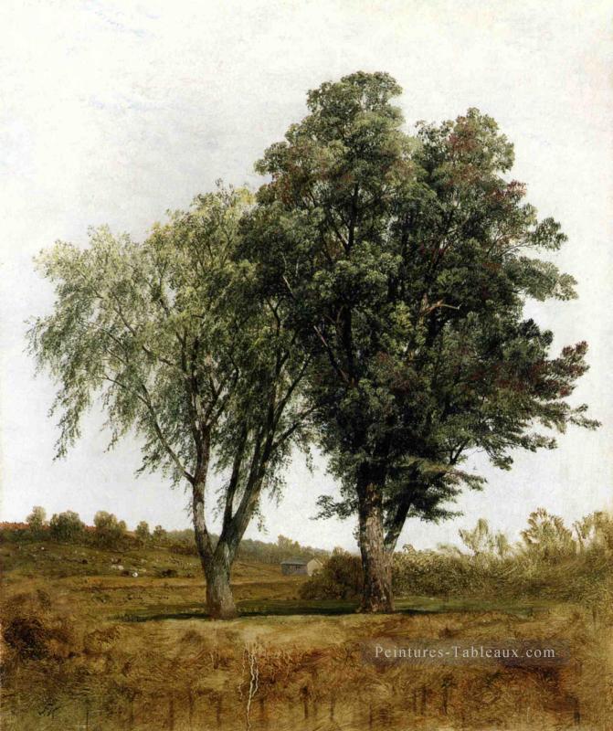 Une étude des arbres luminisme paysage John Frederick Kensett Peintures à l'huile